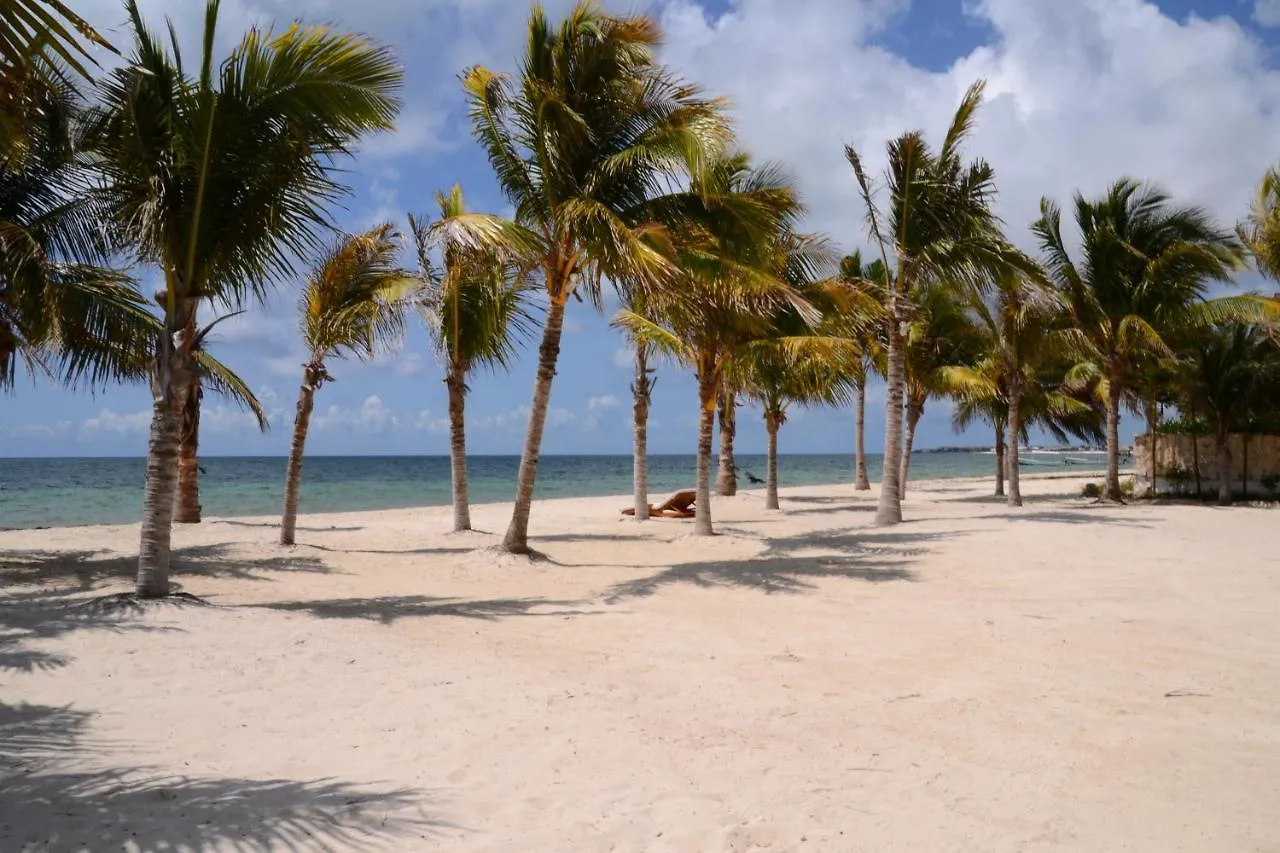 Ocean Front Luxury Villa At Arenika Beach House Puerto Morelos 0*,