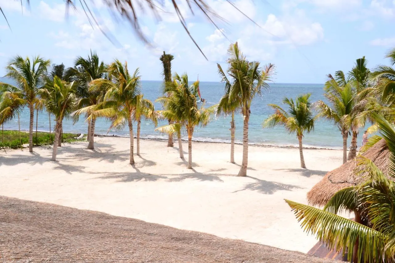 Ocean Front Luxury Villa At Arenika Beach House Puerto Morelos Mexico